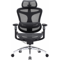 Крісло офісне Sihoo DORO C300 Pro Mesh Black (DORO-C300-PRO-M101)