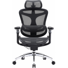 Офисное кресло Sihoo DORO C300 Pro Mesh Black (DORO-C300-PRO-M101)