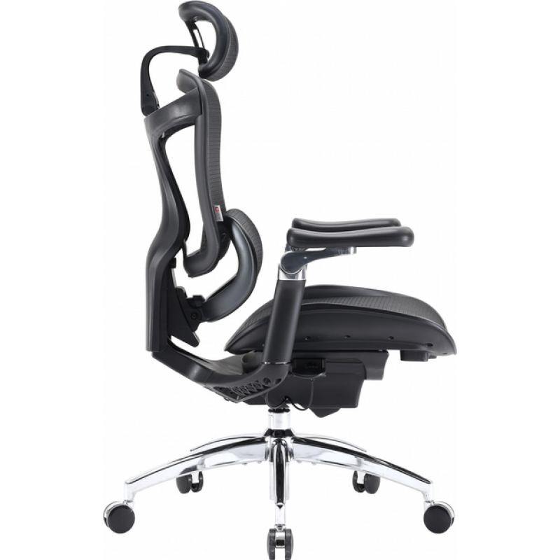 Крісло офісне Sihoo DORO C300 Pro Mesh Black (DORO-C300-PRO-M101)
