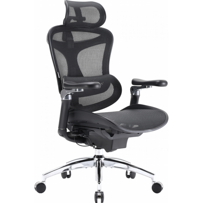 Крісло офісне Sihoo DORO C300 Pro Mesh Black (DORO-C300-PRO-M101)