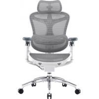Офисное кресло Sihoo DORO C300 Pro Mesh White (DORO-C300-PRO-M102)