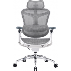 Офисное кресло Sihoo DORO C300 Pro Mesh White (DORO-C300-PRO-M102)