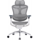 Офисное кресло Sihoo DORO C300 Pro Mesh White (DORO-C300-PRO-M102)