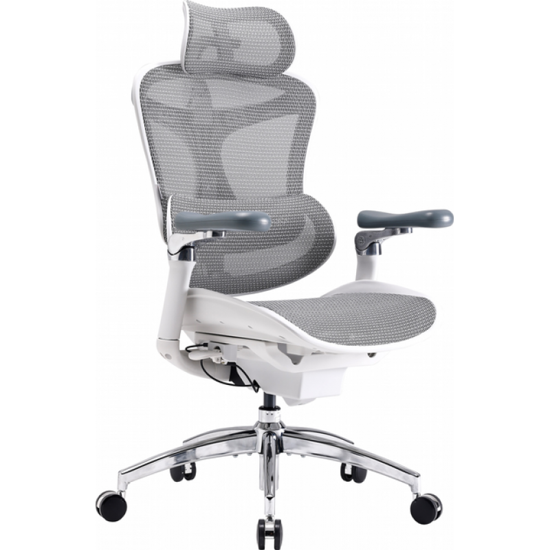 Крісло офісне Sihoo DORO C300 Pro Mesh White (DORO-C300-PRO-M102)