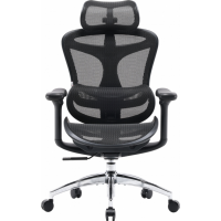 Офисное кресло Sihoo DORO C300L Mesh Black (DORO-C300L-A3-101)