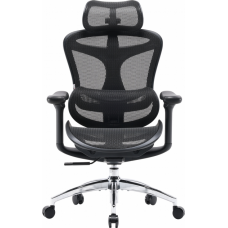 Крісло офісне Sihoo DORO C300L Mesh Black (DORO-C300L-A3-101)
