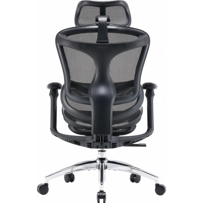 Офисное кресло Sihoo DORO C300L Mesh Black (DORO-C300L-A3-101)