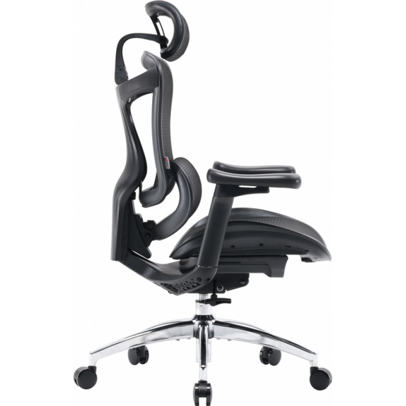 Офисное кресло Sihoo DORO C300L Mesh Black (DORO-C300L-A3-101)