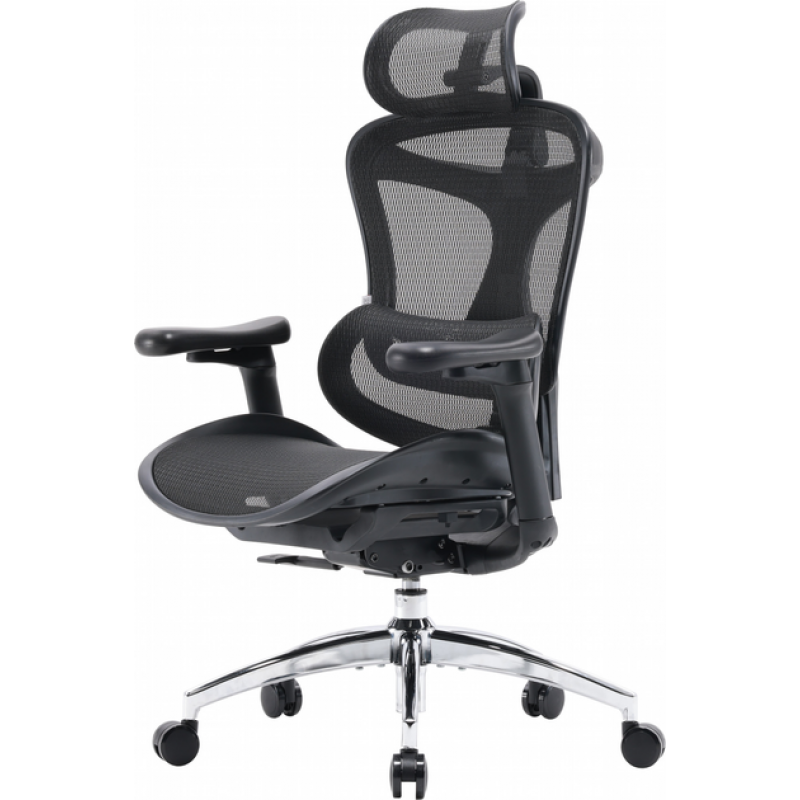 Офисное кресло Sihoo DORO C300L Mesh Black (DORO-C300L-A3-101)