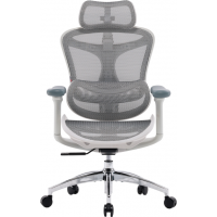 Офисное кресло Sihoo DORO C300L Mesh White (DORO-C300L-A3-102)