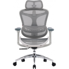 Офисное кресло Sihoo DORO C300L Mesh White (DORO-C300L-A3-102)