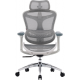 Офисное кресло Sihoo DORO C300L Mesh White (DORO-C300L-A3-102)