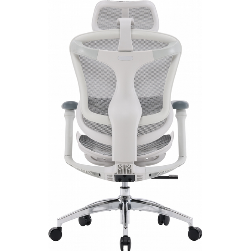 Офисное кресло Sihoo DORO C300L Mesh White (DORO-C300L-A3-102)