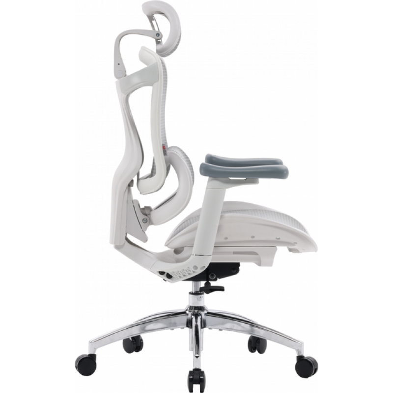 Офисное кресло Sihoo DORO C300L Mesh White (DORO-C300L-A3-102)