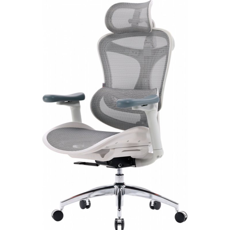 Офисное кресло Sihoo DORO C300L Mesh White (DORO-C300L-A3-102)