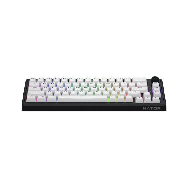 Клавіатура магнітна HATOR Skyfall 65 MAG ULTRA 8K (HTK1860UA) black-white