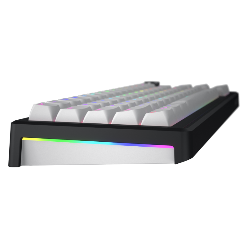 Клавіатура механічна HATOR Skyfall 100 wireless (HTK3100UA) black-white