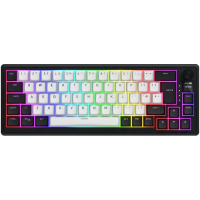 Клавіатура магнітна HATOR Skyfall 65 MAG ULTIMA 8K wireless (HTK3860EU) black-white