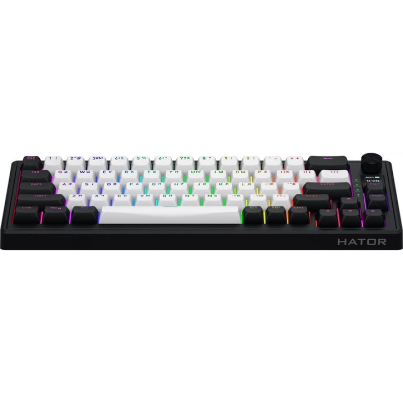 Клавіатура магнітна HATOR Skyfall 65 MAG ULTIMA 8K wireless (HTK3860UA) black-white