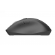 Миша OfficePro Wireless M315B