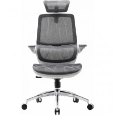 Кресло офисное Sihoo M59AS Mesh Gray (M59AS-M301)