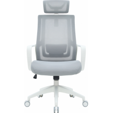 Офисное кресло OfficePro Harmony OC310-W-LG-LG