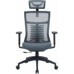 Офисное кресло OfficePro Balance OC550-B-DG-DG