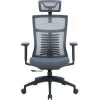 Крісло офісне OfficePro Balance OC550-B-DG-DG