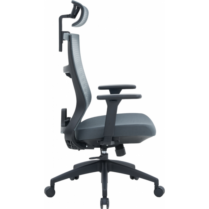 Офисное кресло OfficePro Balance OC550-B-DG-DG