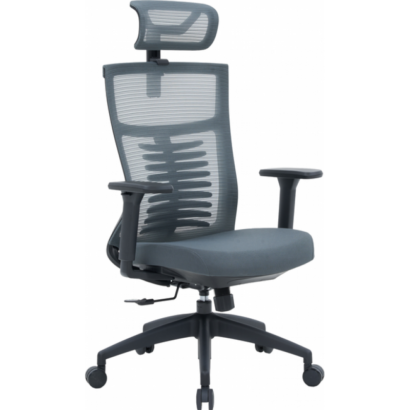 Офисное кресло OfficePro Balance OC550-B-DG-DG