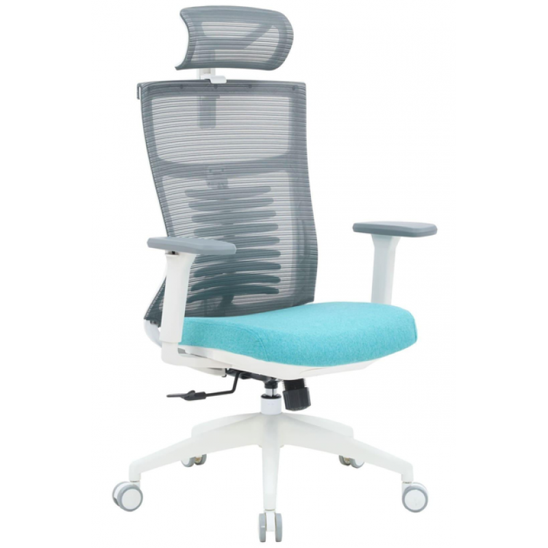 Крісло офісне OfficePro Balance OC550-W-DG-BL