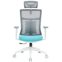 Крісло офісне OfficePro Balance OC550-W-DG-BL