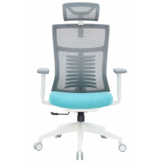 Крісло офісне OfficePro Balance OC550-W-DG-BL