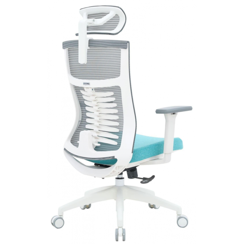 Крісло офісне OfficePro Balance OC550-W-DG-BL