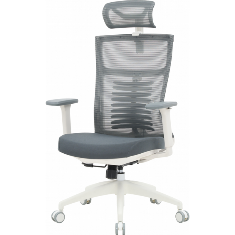 Офисное кресло OfficePro Balance OC550-W-DG-DG