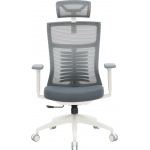 Офисное кресло OfficePro Balance OC550-W-DG-DG
