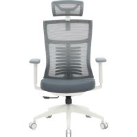 Крісло офісне OfficePro Balance OC550-W-DG-DG