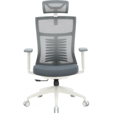 Офисное кресло OfficePro Balance OC550-W-DG-DG