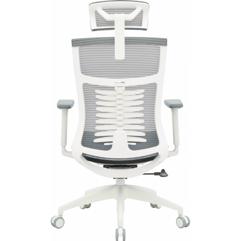 Офисное кресло OfficePro Balance OC550-W-DG-DG