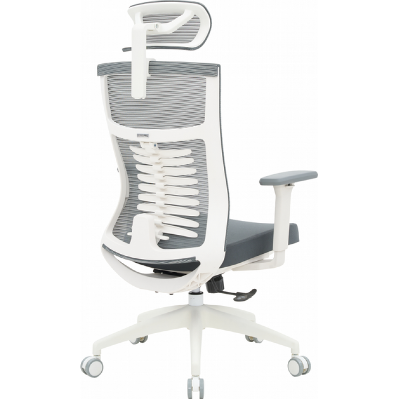 Офисное кресло OfficePro Balance OC550-W-DG-DG