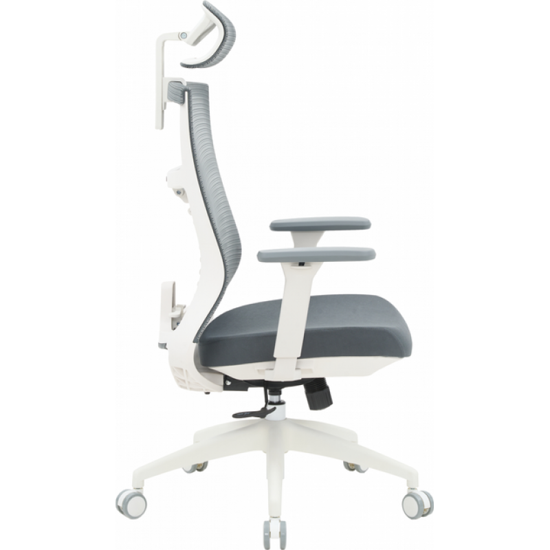 Офисное кресло OfficePro Balance OC550-W-DG-DG