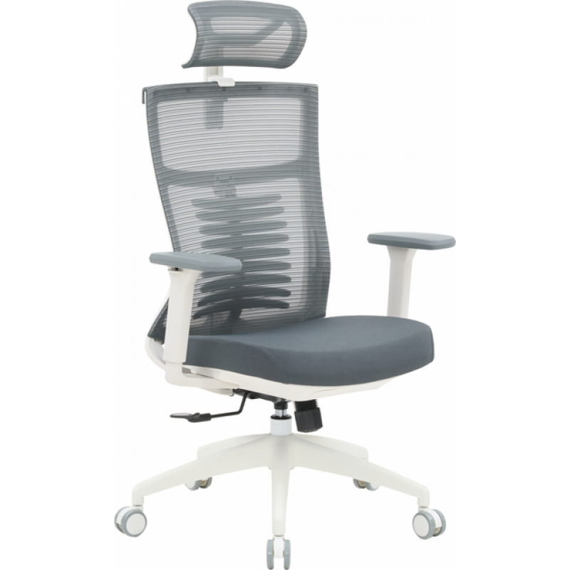 Офисное кресло OfficePro Balance OC550-W-DG-DG