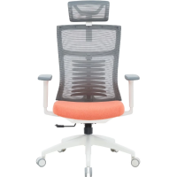 Крісло офісне OfficePro Balance OC550-W-DG-OR
