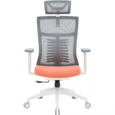 Крісло офісне OfficePro Balance OC550-W-DG-OR