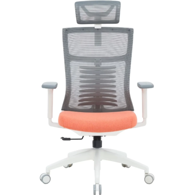 Офисное кресло OfficePro Balance OC550-W-DG-OR