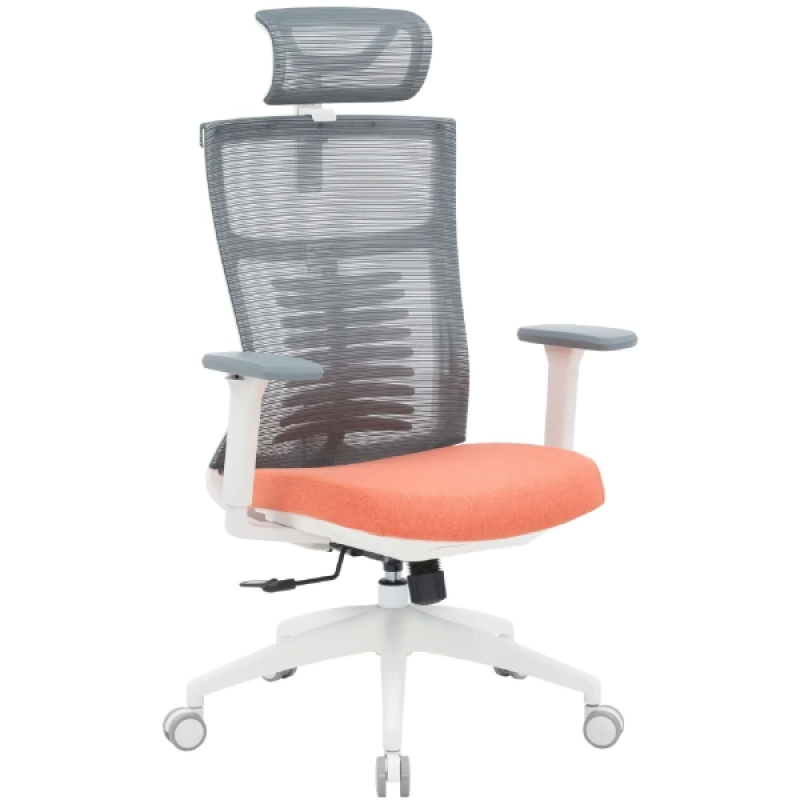 Офисное кресло OfficePro Balance OC550-W-DG-OR