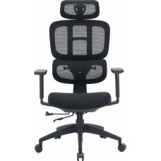 Офисное кресло OfficePro Skyline OC580-B-B-B