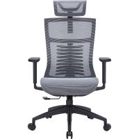 Крісло офісне Officepro Balance OC620-B-DG-DG