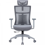 Офисное кресло офисное Officepro Balance OC620-G-DG-DG