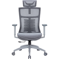 Крісло офісне Officepro Balance OC620-G-DG-DG